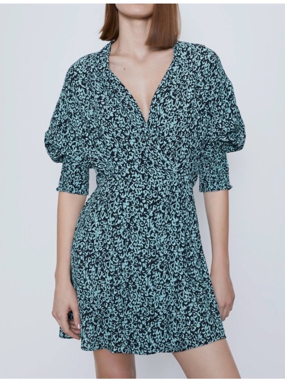NWT Zara Leopard Dress